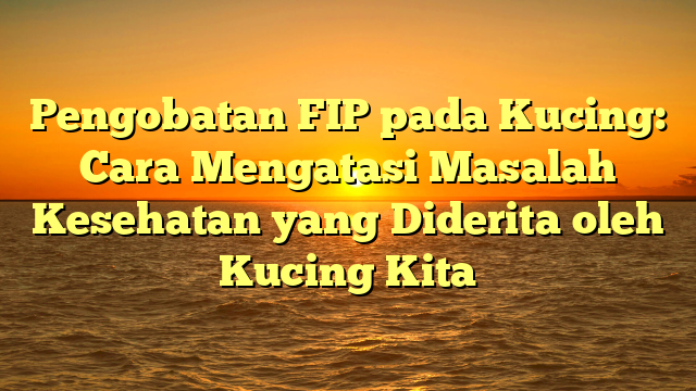 Pengobatan FIP pada Kucing: Cara Mengatasi Masalah Kesehatan yang Diderita oleh Kucing Kita