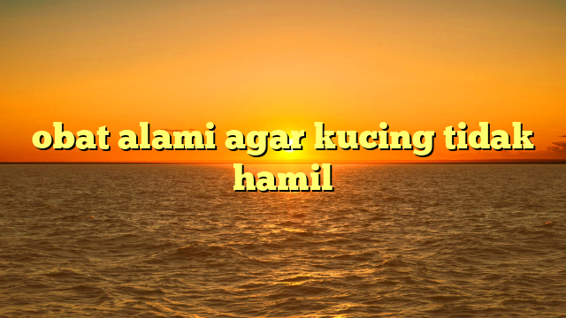 obat alami agar kucing tidak hamil